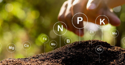 ORGAMİNERAL ÜRÜNLER